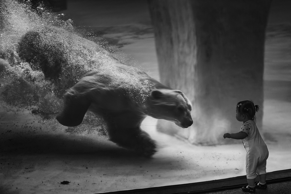 Nhiếp ảnh gia Latvia đoạt 5 huy chương thi ảnh nghệ thuật ở VN - Ảnh 1. Nhiếp ảnh gia Latvia đoạt 5 huy chương thi ảnh nghệ thuật ở VN - Ảnh 1.