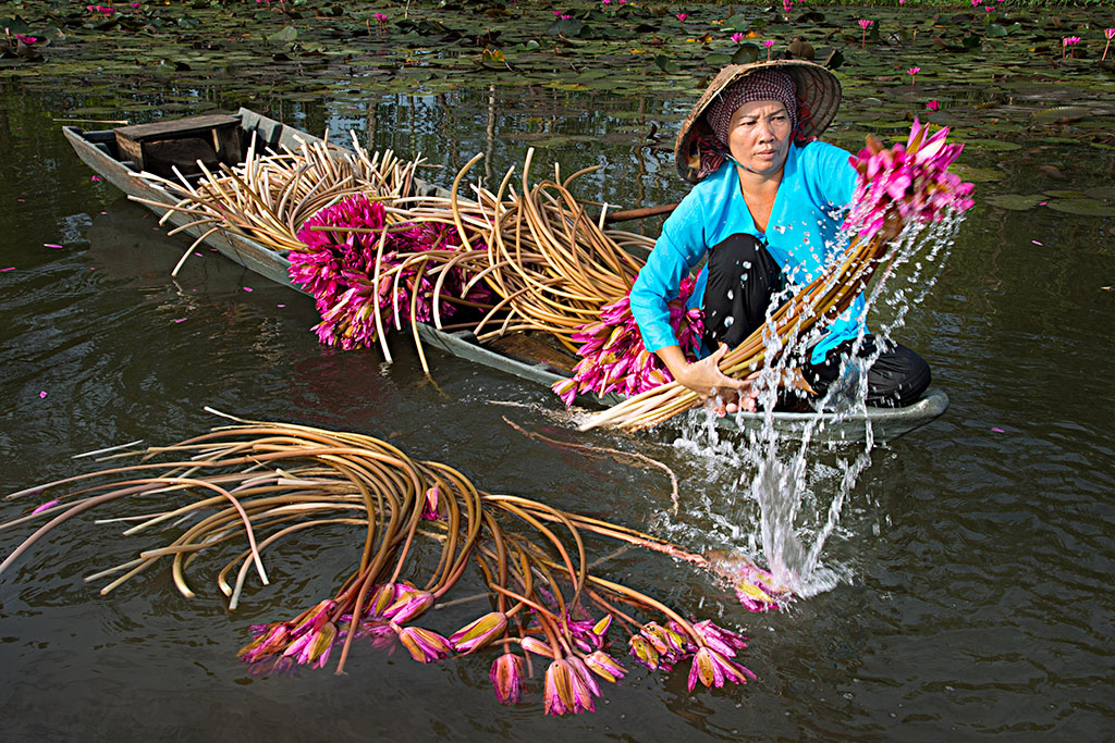 Bài dự thi: Sa Pa có một mùa vàng - Ảnh 6.