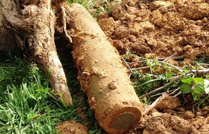 Tá hỏa phát hiện bom khủng khi đào móng nhà - Ảnh 1. Tá hỏa phát hiện bom khủng khi đào móng nhà - Ảnh 1.