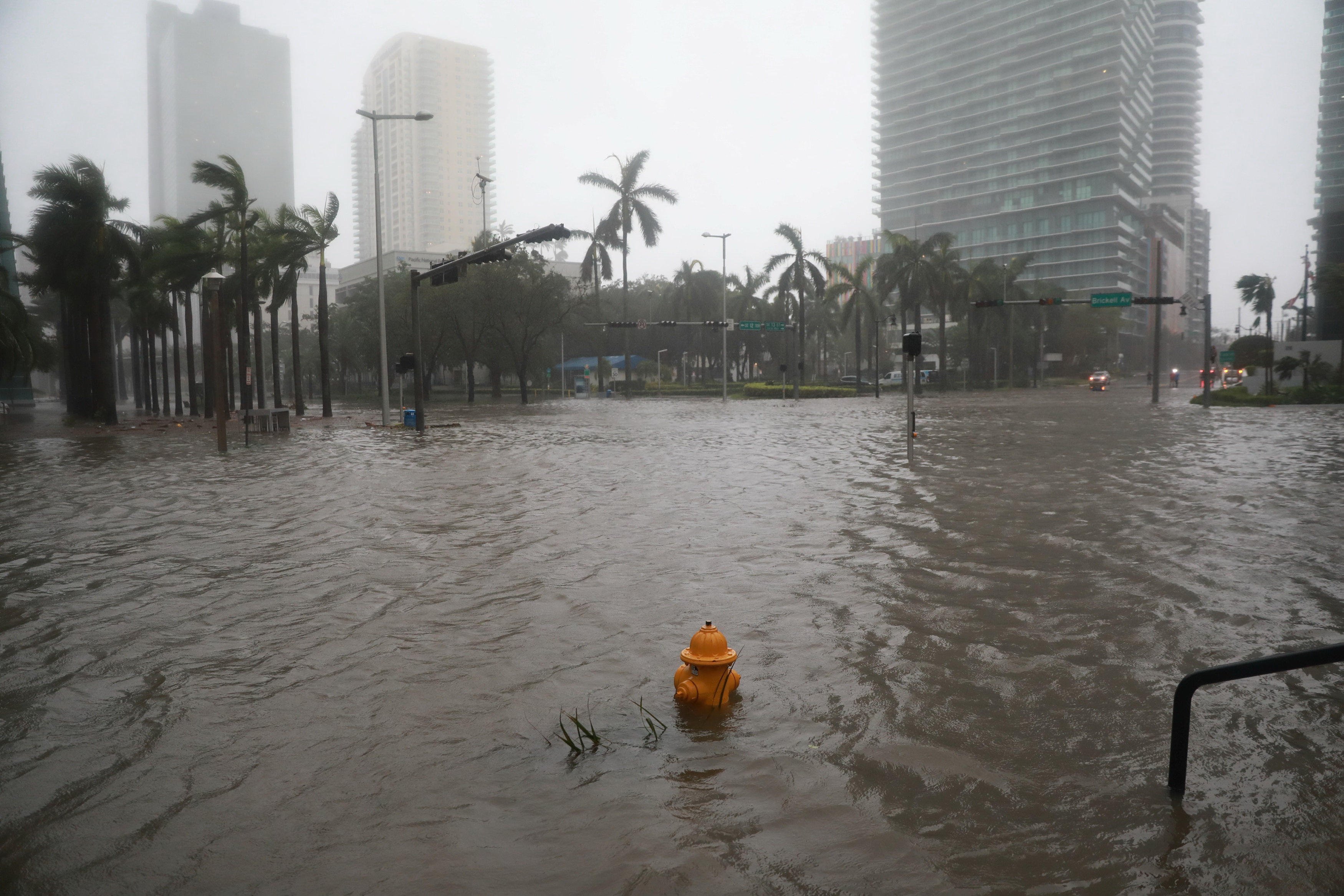 Ban bố tình trạng thiên tai ở bang Florida - Ảnh 3.