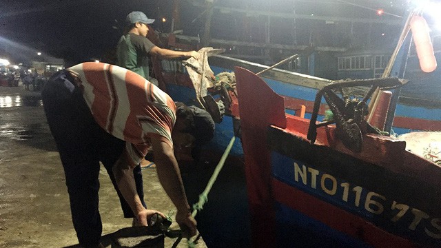 Ngư dân Ninh Thuận chạy nước rút tránh bão, TP.HCM cấm biển - Ảnh 3. Ngư dân Ninh Thuận chạy nước rút tránh bão, TP.HCM cấm biển - Ảnh 3.