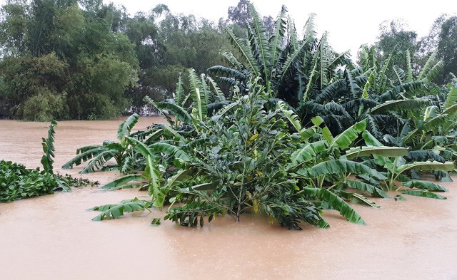 Nhiều khu vực miền Trung chìm trong nước lũ - Ảnh 15. Nhiều khu vực miền Trung chìm trong nước lũ - Ảnh 15.