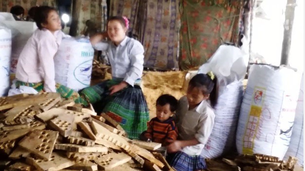 Tan nát rừng phòng hộ - Kỳ cuối: Đường đi của pơmu - Ảnh 5. Tan nát rừng phòng hộ - Kỳ cuối: Đường đi của pơmu - Ảnh 5.