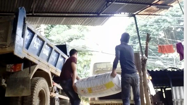 Tan nát rừng phòng hộ - Kỳ cuối: Đường đi của pơmu - Ảnh 1. Tan nát rừng phòng hộ - Kỳ cuối: Đường đi của pơmu - Ảnh 1.