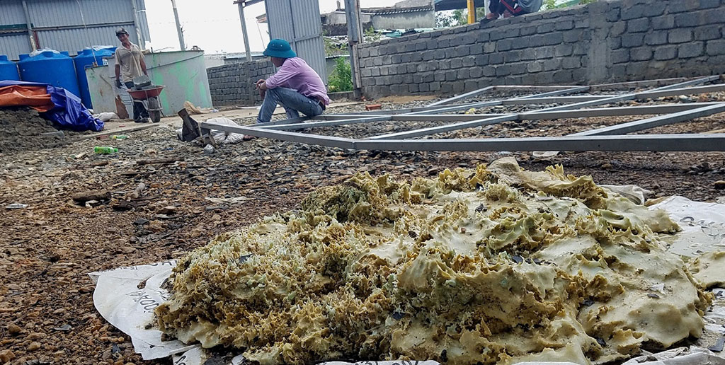 Sau bão, phát hiện cả kho hóa chất Trung Quốc bỏ hoang - Ảnh 5. Sau bão, phát hiện cả kho hóa chất Trung Quốc bỏ hoang - Ảnh 5.