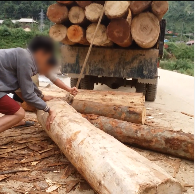 Tan nát rừng đầu nguồn: Cận cảnh rừng phòng hộ bị phá - Ảnh 8. Tan nát rừng đầu nguồn: Cận cảnh rừng phòng hộ bị phá - Ảnh 8.