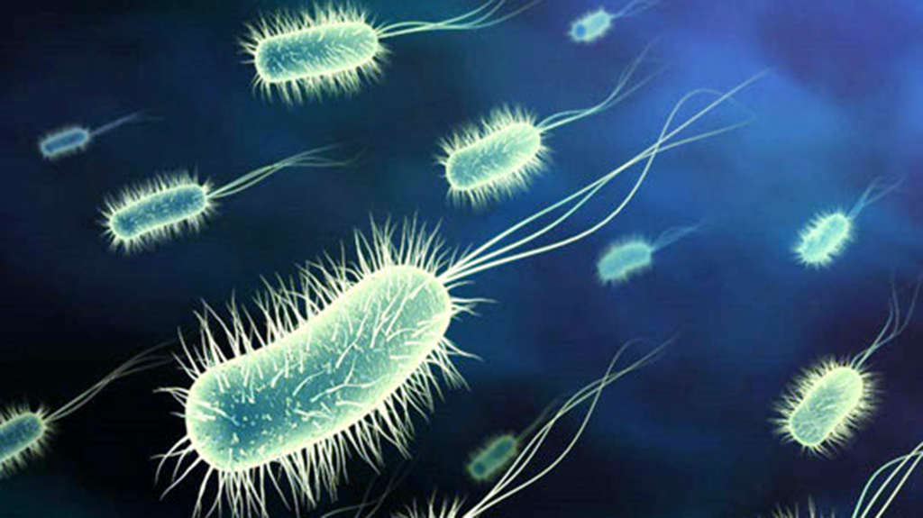 3 người chết do ngộ độc sau tiệc đám hỏi - Ảnh 1. 3 người chết do ngộ độc sau tiệc đám hỏi - Ảnh 1.