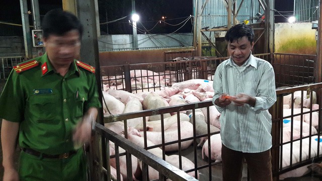 Chủ cơ sở Xuyên Á không tiếp tay thương lái - Ảnh 1. Chủ cơ sở Xuyên Á không tiếp tay thương lái - Ảnh 1.