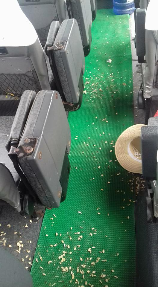Dân mạng tố muôn kiểu vô ý thức của người Việt - Ảnh 2. Dân mạng tố muôn kiểu vô ý thức của người Việt - Ảnh 2.