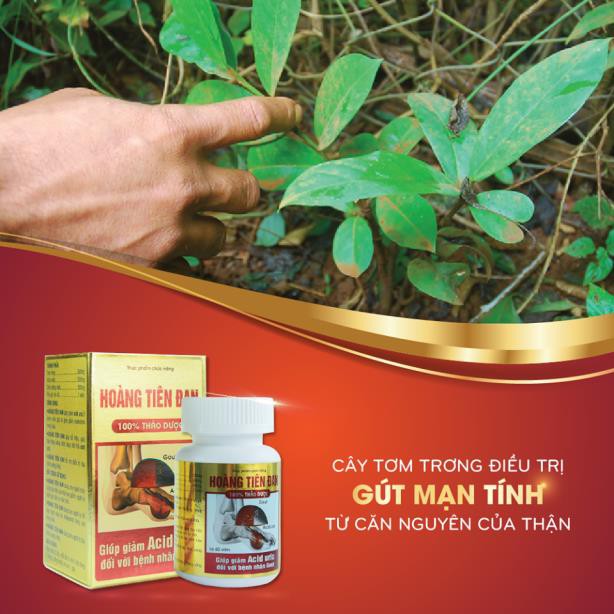 Chế độ ăn uống hợp lý cho người bệnh gút vào dịp tết - Ảnh 5. Chế độ ăn uống hợp lý cho người bệnh gút vào dịp tết - Ảnh 5.