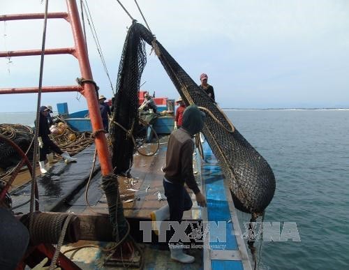 VASEP đề xuất các hoạt động khắc phục thẻ vàng IUU trước giờ G’ - Ảnh 1. VASEP đề xuất các hoạt động khắc phục thẻ vàng IUU trước giờ G’ - Ảnh 1.