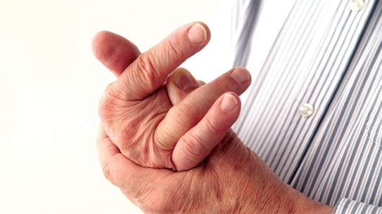 Trị gút mạn tính: tăng cường chức năng thận với Hoàng Tiên Đan - Ảnh 3. Trị gút mạn tính: tăng cường chức năng thận với Hoàng Tiên Đan - Ảnh 3.