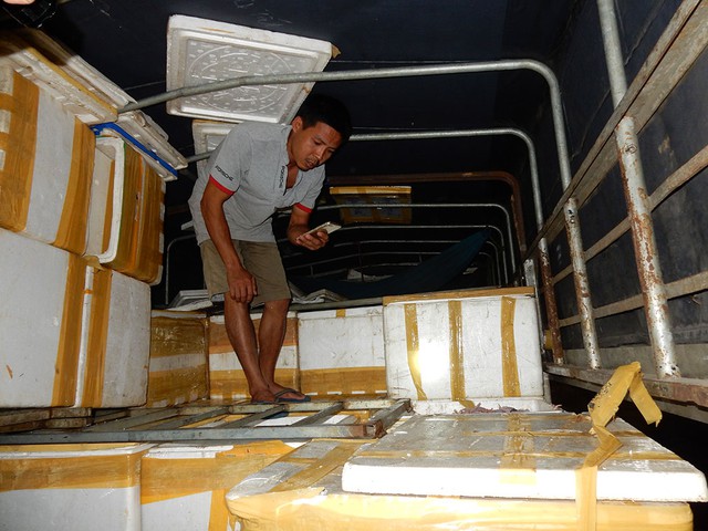 Tài xế gợi ý 40 triệu để giải cứu hơn 3,3 tấn thịt chim cút lậu - Ảnh 1. Tài xế gợi ý 40 triệu để giải cứu hơn 3,3 tấn thịt chim cút lậu - Ảnh 1.