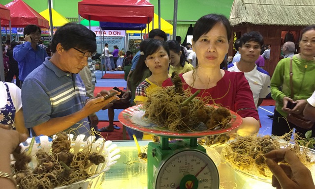 Thú vị ở phiên chợ sâm Ngọc Linh - Ảnh 2. Thú vị ở phiên chợ sâm Ngọc Linh - Ảnh 2.