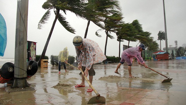 APEC và nét đẹp của thị dân - Ảnh 1. APEC và nét đẹp của thị dân - Ảnh 1.