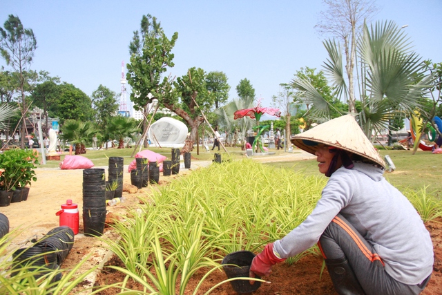 Đà Nẵng đã sẵn sàng đón APEC - Ảnh 6. Đà Nẵng đã sẵn sàng đón APEC - Ảnh 6.