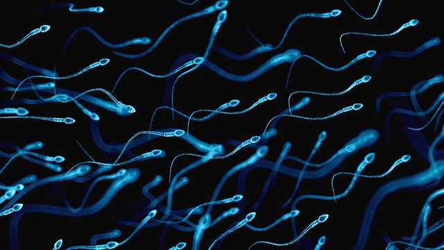 Tinh dịch đàn ông là ổ virus - Ảnh 1. Tinh dịch đàn ông là ổ virus - Ảnh 1.