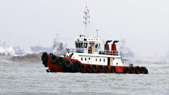 Tìm kiếm 25 thuyền viên mất tích trên biển Quy Nhơn - Ảnh 1. Tìm kiếm 25 thuyền viên mất tích trên biển Quy Nhơn - Ảnh 1.