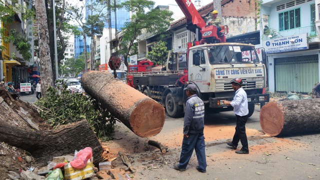 Mưa đêm, sấm chớp nhiều có bất thường? - Ảnh 1. Mưa đêm, sấm chớp nhiều có bất thường? - Ảnh 1.