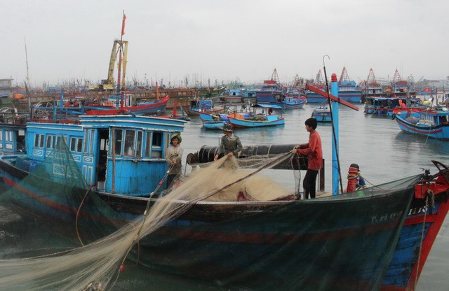 Khánh Hòa: Du khách không được rời đảo - Ảnh 1. Khánh Hòa: Du khách không được rời đảo - Ảnh 1.