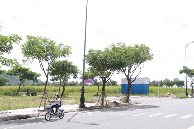 Đà Nẵng sẽ kiến nghị với Chính phủ vụ cấp đất sai - Ảnh 1. Đà Nẵng sẽ kiến nghị với Chính phủ vụ cấp đất sai - Ảnh 1.