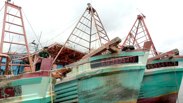 Tàu cá tái phạm ra nước ngoài sẽ bị tước quyền đánh bắt - Ảnh 2. Tàu cá tái phạm ra nước ngoài sẽ bị tước quyền đánh bắt - Ảnh 2.