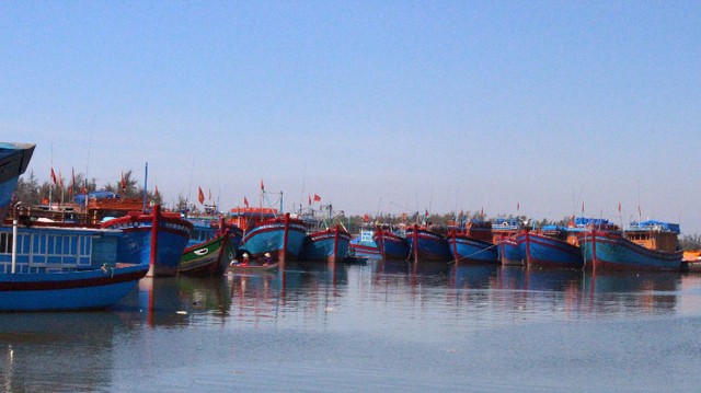 VASEP đề nghị Chính phủ, Quốc hội hỗ trợ giải cứu hải sản - Ảnh 1. VASEP đề nghị Chính phủ, Quốc hội hỗ trợ giải cứu hải sản - Ảnh 1.
