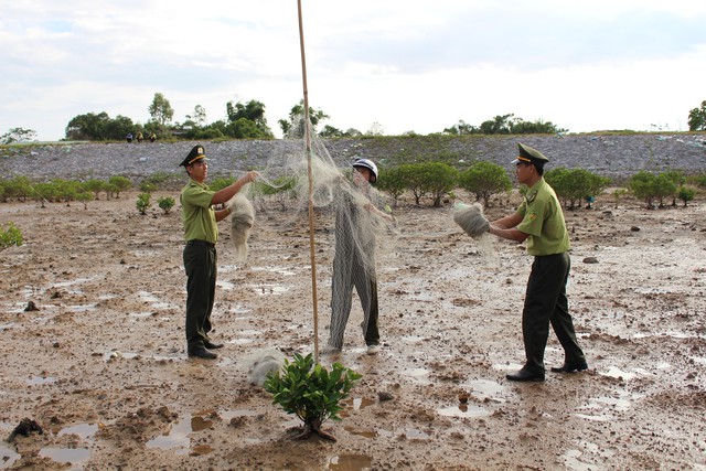 Tăng cường bảo vệ các loài chim di cư, bảo vệ đa dạng sinh học - Ảnh 1. Tăng cường bảo vệ các loài chim di cư, bảo vệ đa dạng sinh học - Ảnh 1.