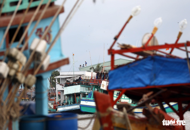 Nhiều tàu cá vào vùng biển Thái Lan, Malaysia xin tránh bão - Ảnh 6. Nhiều tàu cá vào vùng biển Thái Lan, Malaysia xin tránh bão - Ảnh 6.