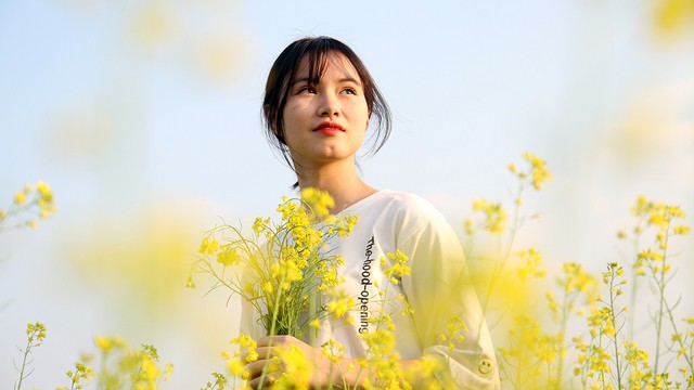 Giới trẻ thủ đô đua nhau đi ngắm cải vàng đầu đông - Ảnh 2. Giới trẻ thủ đô đua nhau đi ngắm cải vàng đầu đông - Ảnh 2.