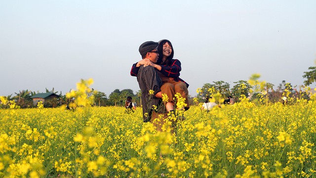 Giới trẻ thủ đô đua nhau đi ngắm cải vàng đầu đông - Ảnh 4. Giới trẻ thủ đô đua nhau đi ngắm cải vàng đầu đông - Ảnh 4.