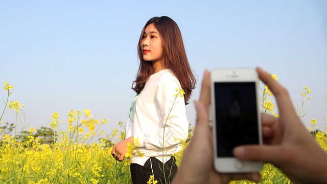 Giới trẻ thủ đô đua nhau đi ngắm cải vàng đầu đông - Ảnh 7. Giới trẻ thủ đô đua nhau đi ngắm cải vàng đầu đông - Ảnh 7.