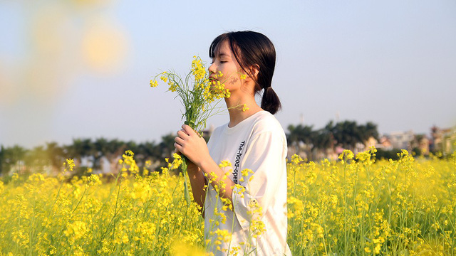 Giới trẻ thủ đô đua nhau đi ngắm cải vàng đầu đông - Ảnh 11. Giới trẻ thủ đô đua nhau đi ngắm cải vàng đầu đông - Ảnh 11.
