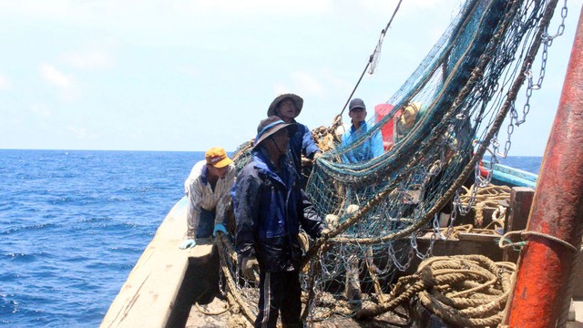 Bị thẻ vàng, doanh nghiệp buộc phải tuân thủ luật chơi - Ảnh 2. Bị thẻ vàng, doanh nghiệp buộc phải tuân thủ luật chơi - Ảnh 2.