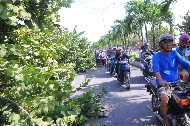 Nha Trang ngổn ngang sau bão mạnh - Ảnh 10. Nha Trang ngổn ngang sau bão mạnh - Ảnh 10.