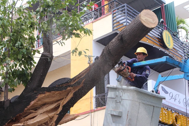 Nha Trang ngổn ngang sau bão mạnh - Ảnh 1. Nha Trang ngổn ngang sau bão mạnh - Ảnh 1.