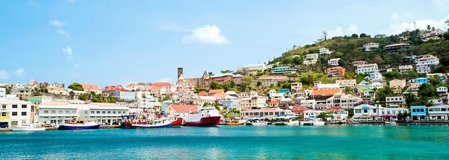 Vì sao visa L1-A của In Fretta thu hút nhà đầu tư Việt Nam? - Ảnh 3. Vì sao visa L1-A của In Fretta thu hút nhà đầu tư Việt Nam? - Ảnh 3.