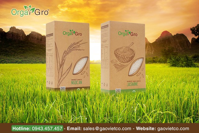 Chuyện về hạt gạo hữu cơ Orgagro - Ảnh 2. Chuyện về hạt gạo hữu cơ Orgagro - Ảnh 2.