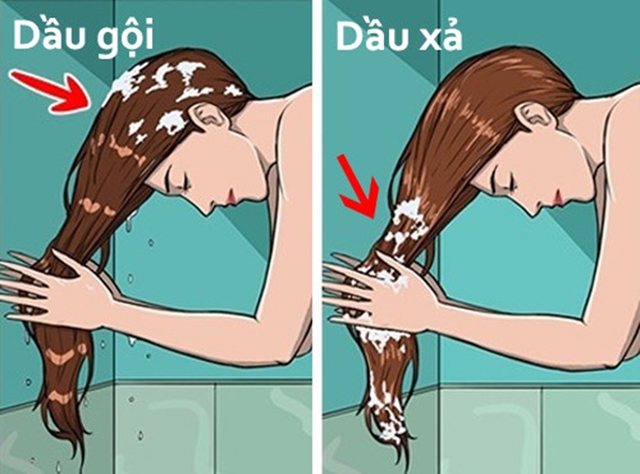 Những sai lầm khi chăm sóc tóc và cách khắc phục - Ảnh 4. Những sai lầm khi chăm sóc tóc và cách khắc phục - Ảnh 4.
