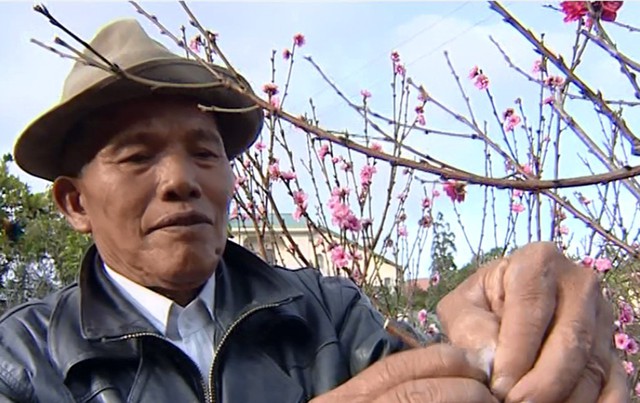 Chuyện Đà Lạt không phải ai cũng biết - Kỳ 6: Thung lũng hoa đào - Ảnh 1. Chuyện Đà Lạt không phải ai cũng biết - Kỳ 6: Thung lũng hoa đào - Ảnh 1.