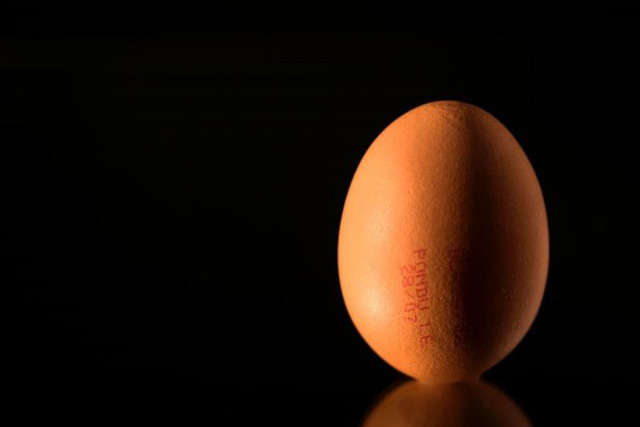 Gà đẻ trứng có thuốc trị ung thư - Ảnh 1.