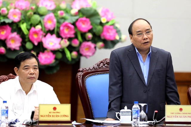 Thủ tướng: những công trình thủy điện nhỏ nhưng phá rừng rất lớn - Ảnh 1. Thủ tướng: những công trình thủy điện nhỏ nhưng phá rừng rất lớn - Ảnh 1.