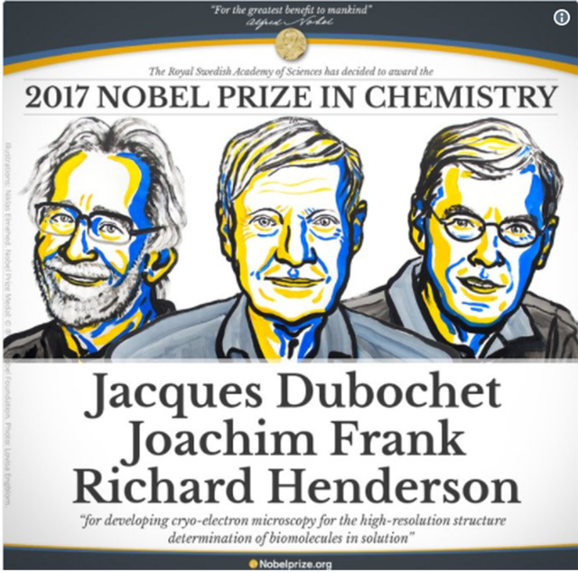 Công trình đoạt Nobel Hóa học giúp mục sở thị virus Zika - Ảnh 1.