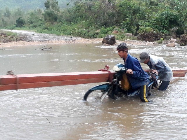 Ngang nhiên phá rừng phòng hộ bán gỗ làm bè nuôi tôm - Ảnh 3. Ngang nhiên phá rừng phòng hộ bán gỗ làm bè nuôi tôm - Ảnh 3.