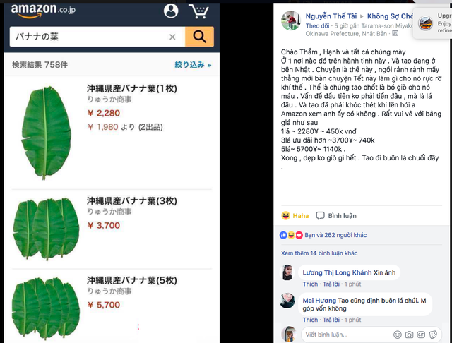 Du học sinh nói gì về lá chuối 500.000 đồng trên Amazon Nhật? - Ảnh 1. Du học sinh nói gì về lá chuối 500.000 đồng trên Amazon Nhật? - Ảnh 1.