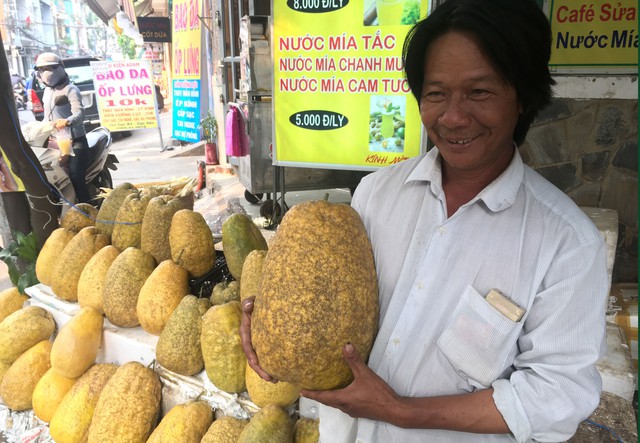 Lạ lẫm bưởi “khủng” chưng tết hơn chục ký - Ảnh 2. Lạ lẫm bưởi “khủng” chưng tết hơn chục ký - Ảnh 2.