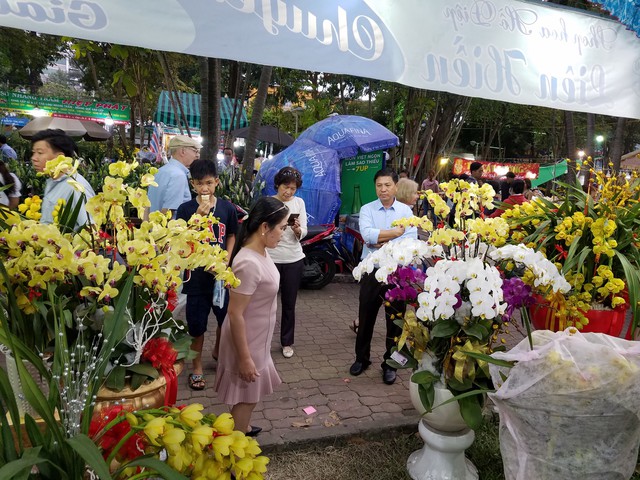 Lan hồ điệp tết cạn hàng, giá tăng - Ảnh 2. Lan hồ điệp tết cạn hàng, giá tăng - Ảnh 2.