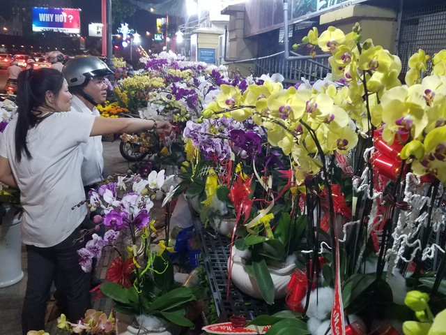 Lan hồ điệp tết cạn hàng, giá tăng - Ảnh 4. Lan hồ điệp tết cạn hàng, giá tăng - Ảnh 4.
