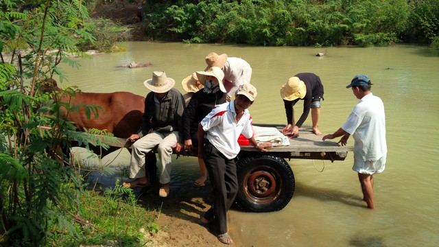 Sau tết người làng ra sông Dinh điểm danh - Ảnh 1. Sau tết người làng ra sông Dinh điểm danh - Ảnh 1.