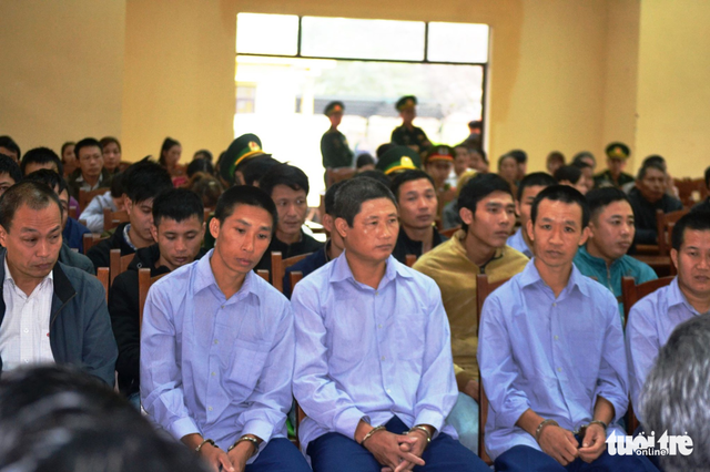 Nguyên đại uý biên phòng đạo diễn toàn bộ vụ phá rừng Pơ mu - Ảnh 1. Nguyên đại uý biên phòng đạo diễn toàn bộ vụ phá rừng Pơ mu - Ảnh 1.
